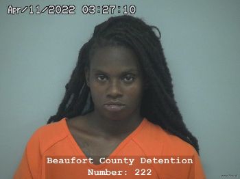 Samantha Simone Denise Jenkins Mugshot