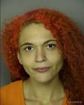 Samantha Rae Mason Mugshot