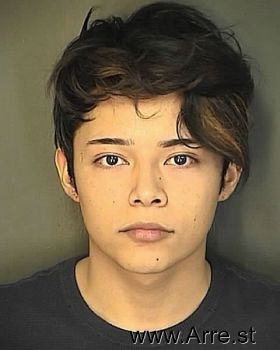 Samuel  Hernandez-morales Mugshot