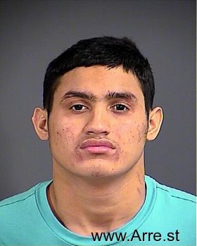 Samuel  Mayorga-orellana Mugshot