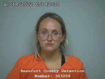 Sarah A Johnson Mugshot