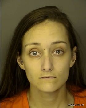 Sarah Anne Mcdaniels Mugshot