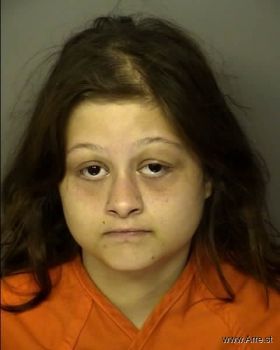 Sarah Louise Williams Mugshot