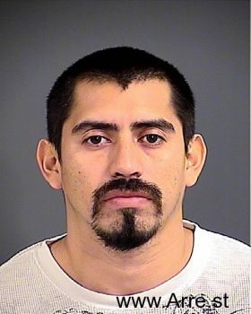 Sergio  Hernandez-ruiz Mugshot