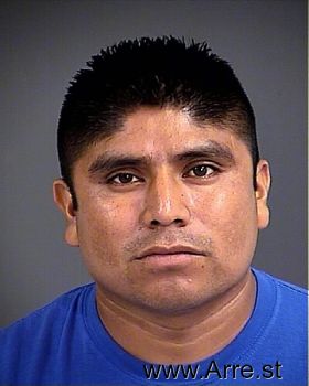 Sergio  Perez Mugshot