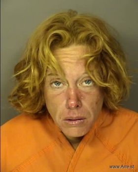 Shannon Marie Long Mugshot