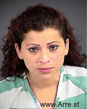 Silvia Elizabet Alvarez-rivas Mugshot