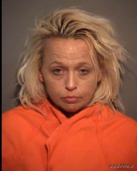 Stacey Lynn Todd Hardin Mugshot