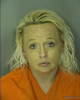 Stacey Lynn Todd Hardin Mugshot