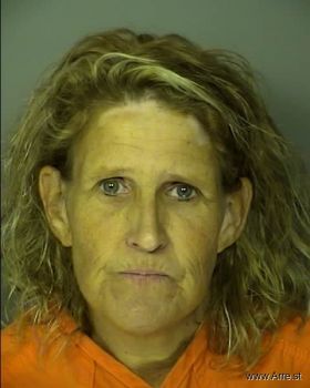 Stacie Rene Cook Mugshot