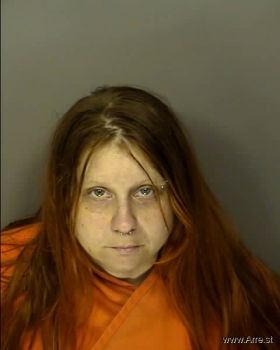 Stephanie Lee Hamilton Mugshot