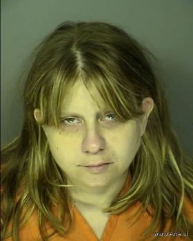 Stephanie Lee Hamilton Mugshot