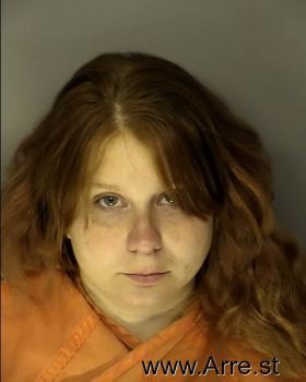 Stephanie Lee Hamilton Mugshot