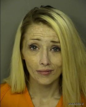 Stephanie Lynn Knox Mugshot