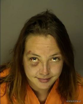 Stephanie Lynn Poston Mugshot