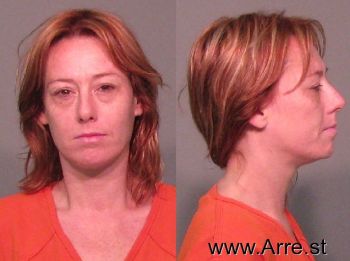 Stephanie Lee Vinson Mugshot