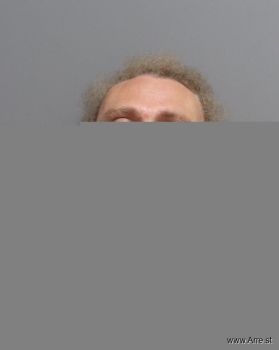 Stephen  Davidson Mugshot