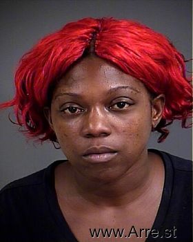 Susan Nicole Collins Mugshot