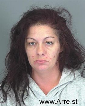 Susan Marie Evans-smith Mugshot