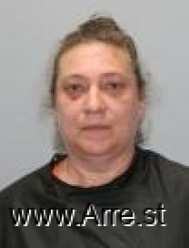 Tina Ann Schwartz Mugshot