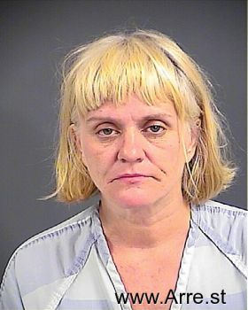 Tammy Ann Johnson Mugshot