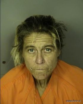 Teresa Rachelle Brooks Mugshot