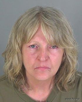 Terry Lynn Anderson Mugshot