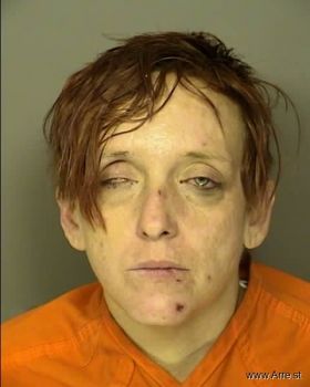 Tiffany Dawn Evans Mugshot