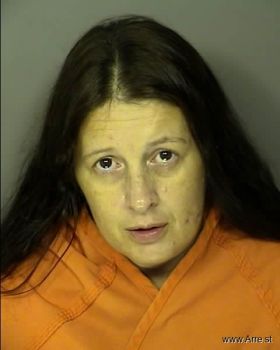 Tina Louise Williamson Mugshot