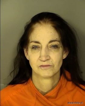 Tracy Jean Bailey-howell Mugshot