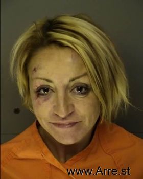 Tracy Ann Colello Mugshot