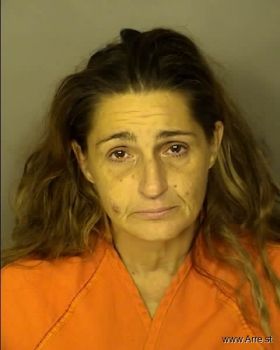 Tracy Lynn Cunningham Mugshot