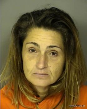 Tracy Lynn Cunningham Mugshot