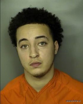 Tyler Dion Fitzgerald Mugshot