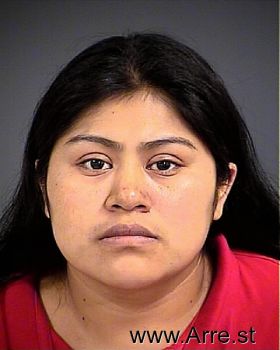 Veronica T Villavicencio-neri Mugshot