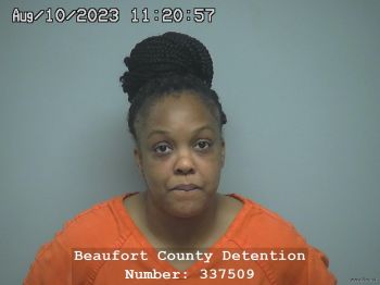 Whitney  Anderson Mugshot