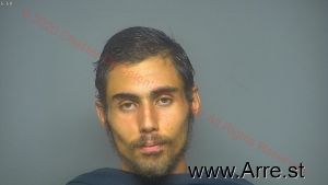 Austin Pelkey Arrest Mugshot