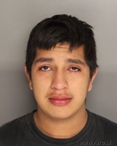 Alan Gonzales Arrest Mugshot