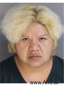 Carla Walkingstick Arrest Mugshot