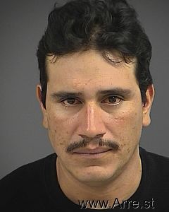 Jose Rocha-hernandez Arrest