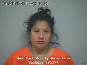 Juanita Gomez Merida Arrest Mugshot