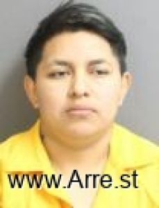 Luz Hernandez Arrest Mugshot