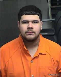 Logan Martinez Arrest Mugshot