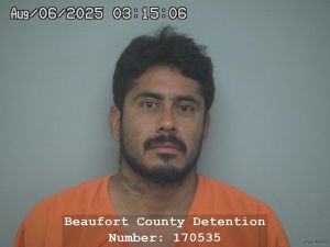 Lorenzo Fernandez-nava Arrest Mugshot