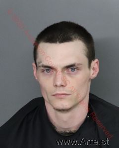 Michael Ford Arrest Mugshot