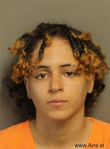 Nichole Manning Arrest Mugshot