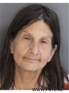 Susan Willing Arrest Mugshot