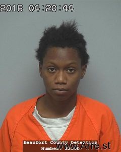 Tierra Williams Arrest Mugshot