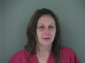 Alexandria Leigh Miller Mugshot