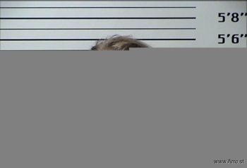 Alysha Diane Swearingen Mugshot